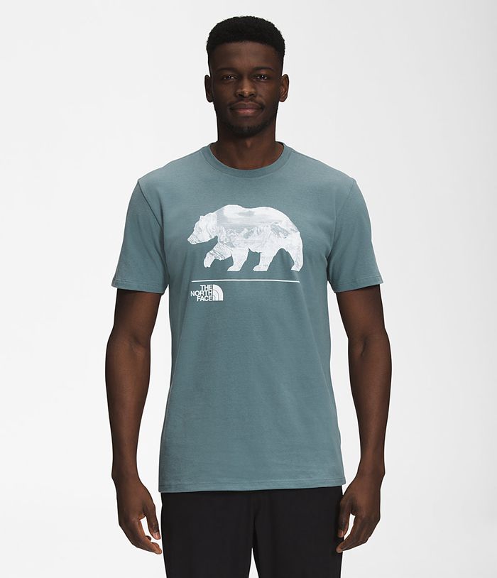 Camiseta The North Face Hombre Bearscape Manga corta Azules - Peru 51394NFHV